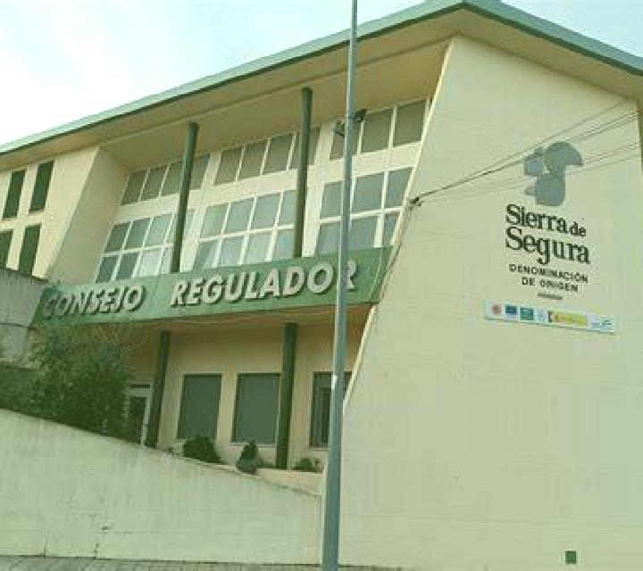 Abril 3 Eljas escort