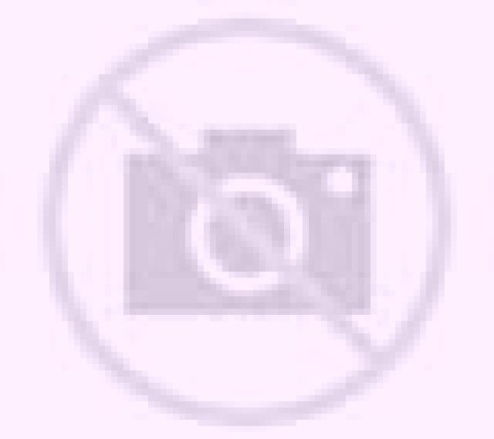 Abril 3 Torrent escort
