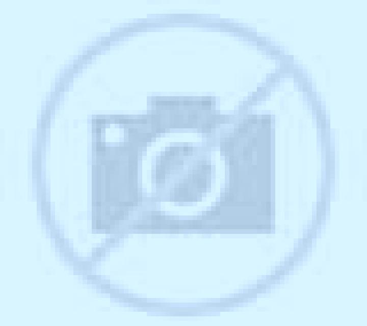 Adriana Torreblanca escort