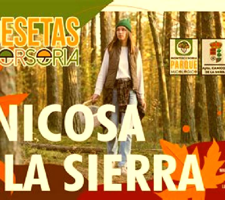 Alba 3 Montederramo escort