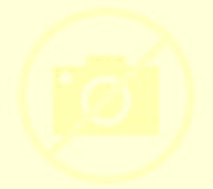Alejandra 2 Usagre escort