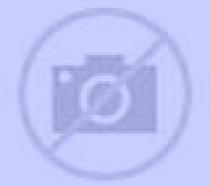 Alejandra 3 Segura escort