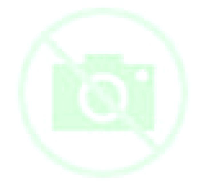 Alejandra A Guarda escort