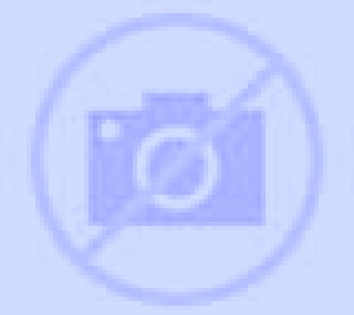 Alejandra Barbalos escort