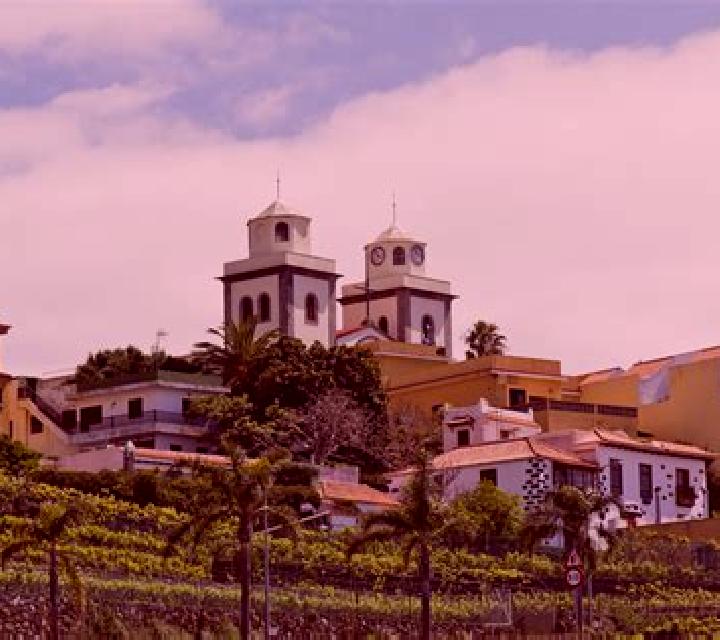 Alejandra Olmos de Penafiel escort