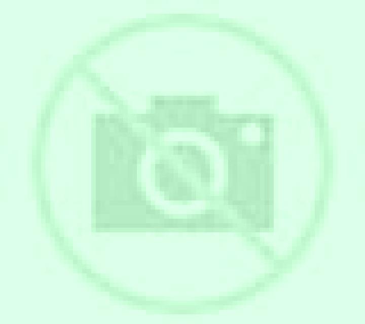 Amanda 3 Consell escort