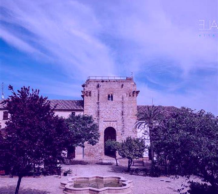Amanda 3 Villapalacios escort