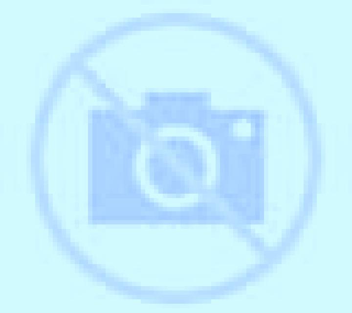 Amanda Rubite escort