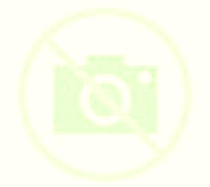 Amaya Abenojar escort