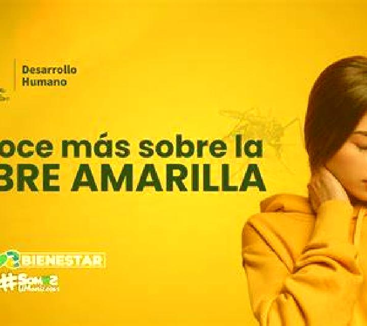 Andrea 3 Benasau escort