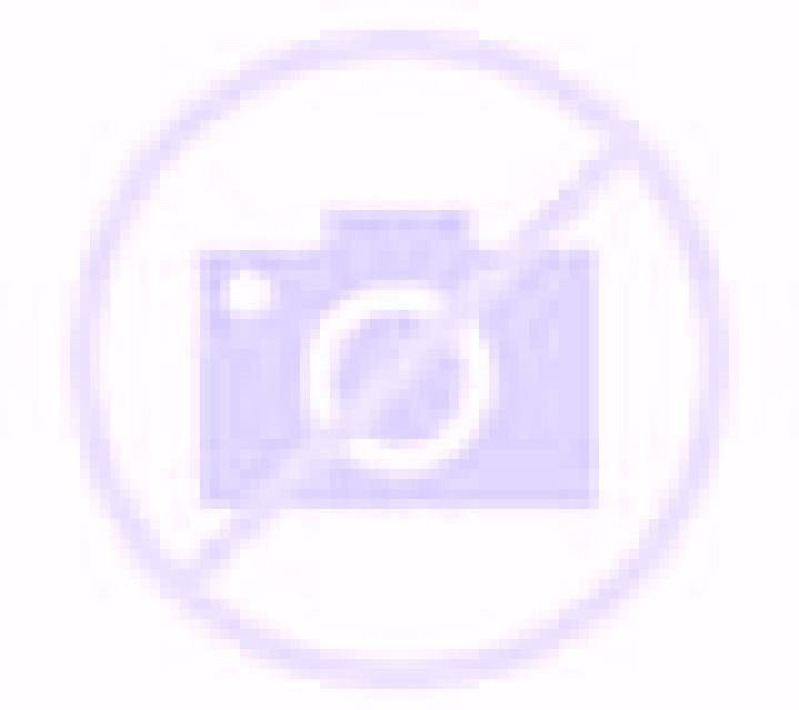 Andrea 3 Herrin de Campos escort