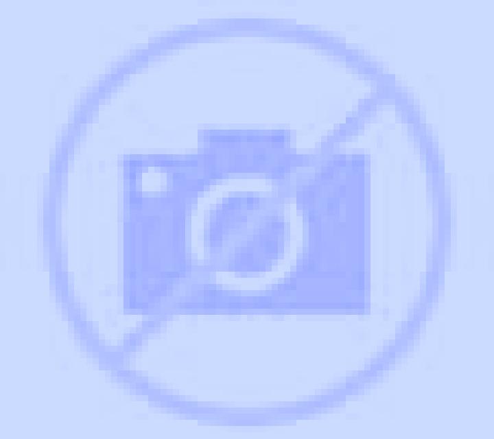 Andrea 3 Sant Pere Pescador escort