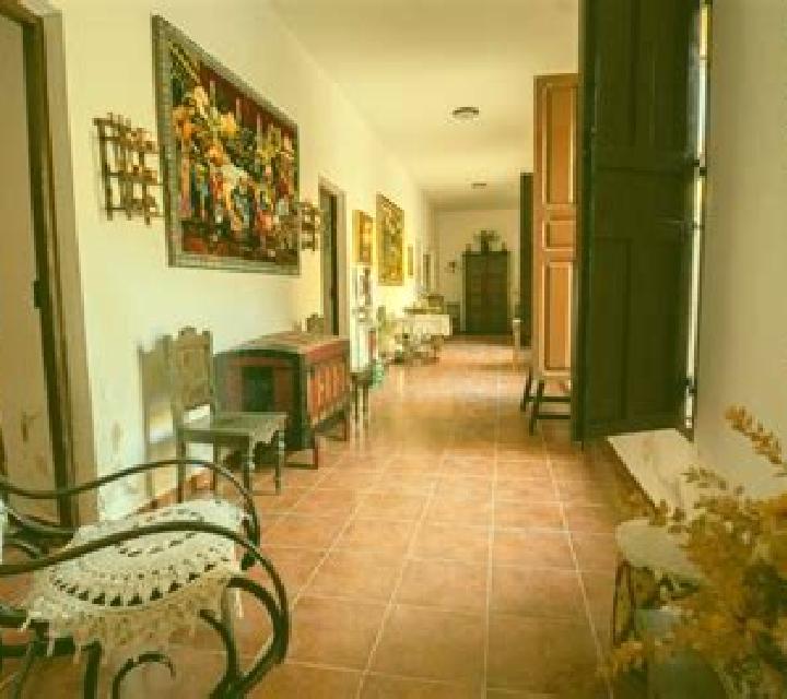 Andrea Aldehuela del Codonal escort
