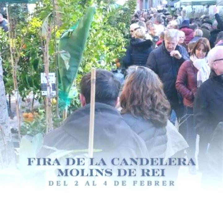 Antonella Arenas de Iguna escort
