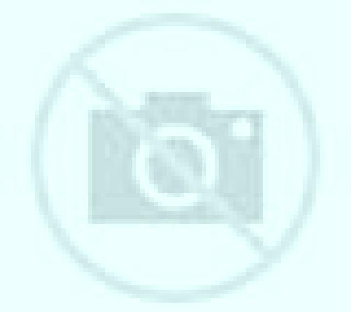 Antonella Villahan escort