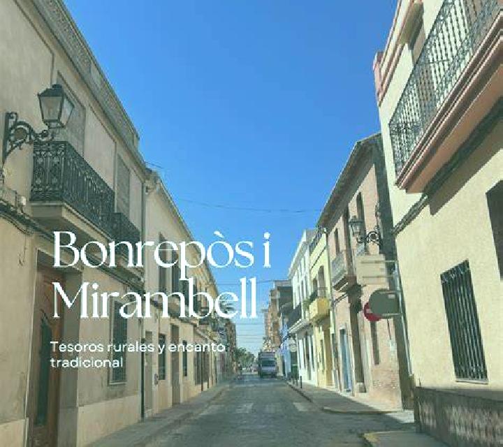 Aurora Bonrepos i Mirambell escort