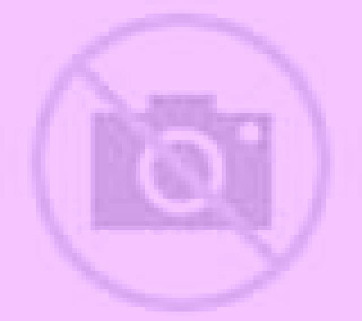 Beatriz Chillon escort
