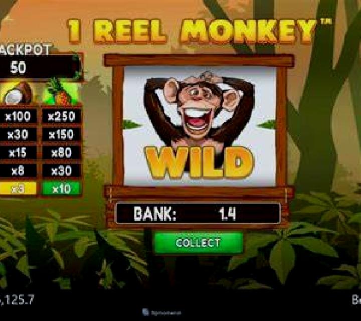 Beatriz Murguia escort