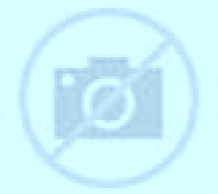 Blanca Torralba de Calatrava escort