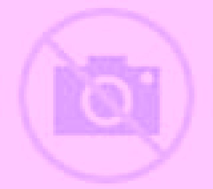 Camila 3 Covarrubias escort