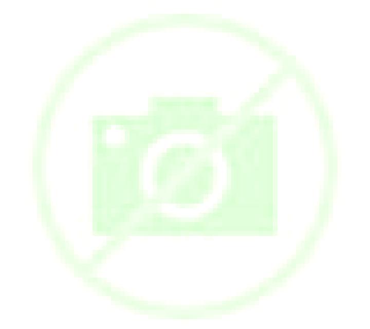 Camila Budia escort