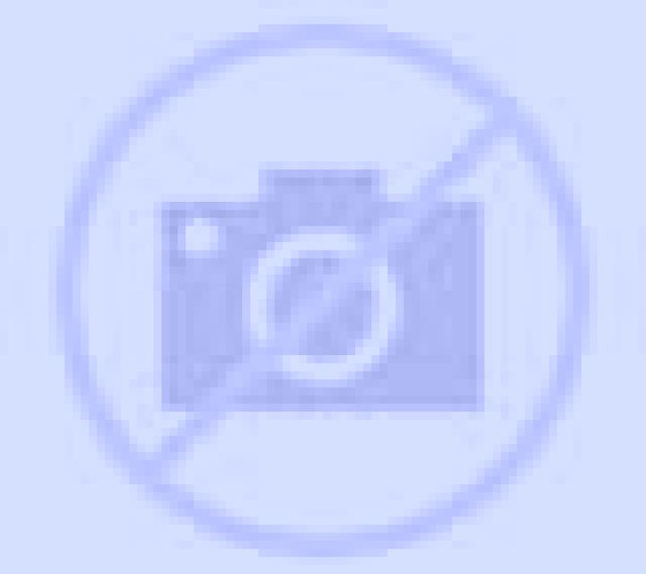 Camila Fuentecantos escort