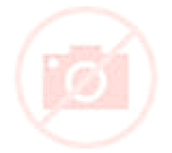 Camila Gascuena escort