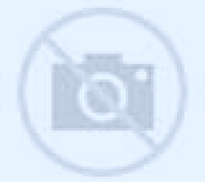Camila Sanchotello escort