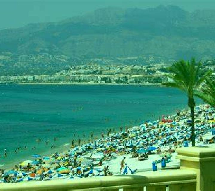 Cecilia Canet d En Berenguer escort