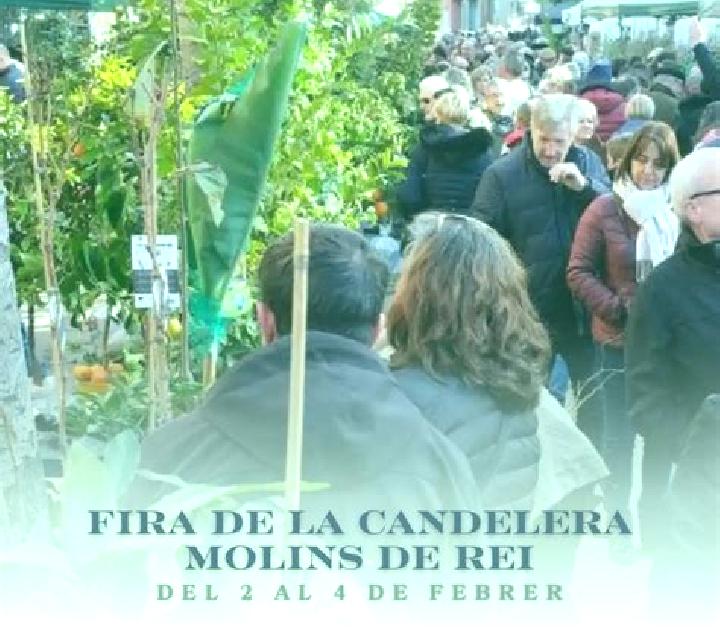 Cecilia Miraflores de la Sierra escort