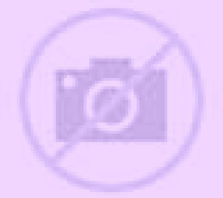 Cielo Trasmiras escort