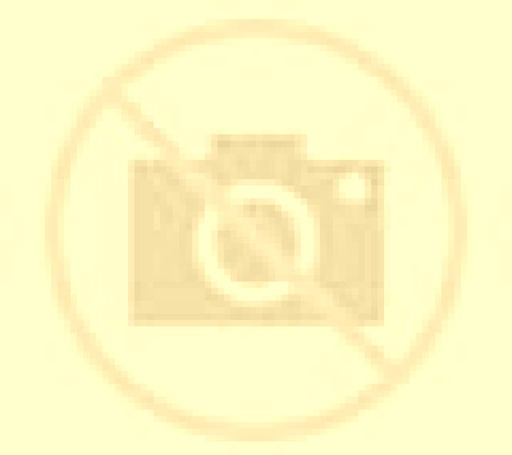 Claudia Laza escort