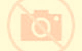 Claudia Valenzuela de Calatrava escort