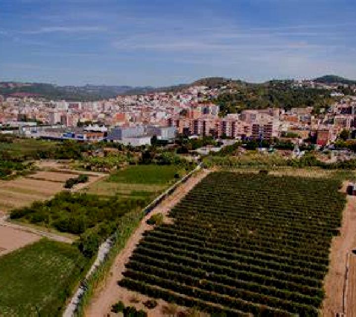 Cristina Villamuriel de Campos escort
