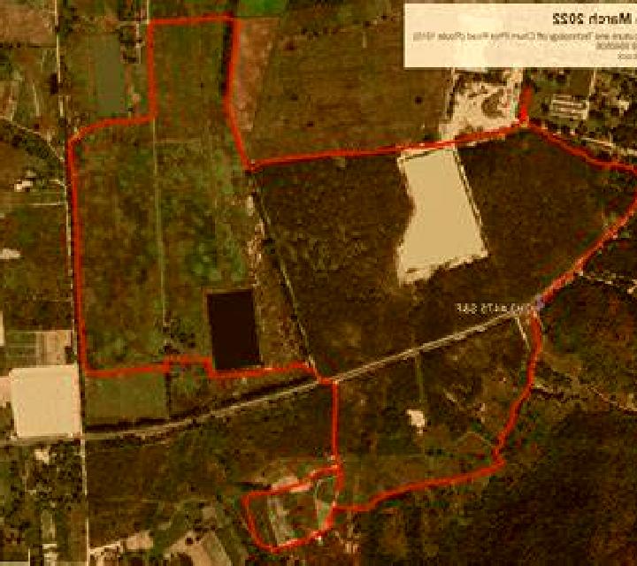 Daniela 2 Ingenio escort