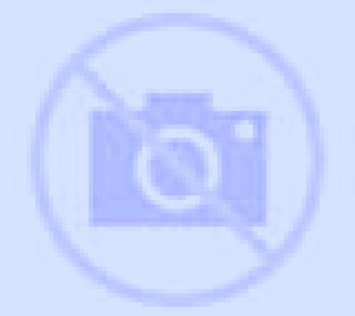 Daniela Morales de Toro escort