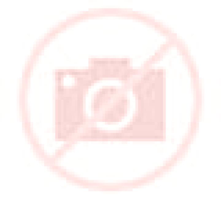 Daniela Ormaiztegui escort