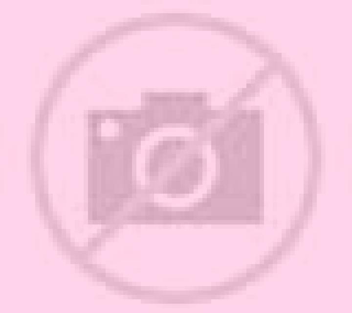 Diana 3 Barillas escort