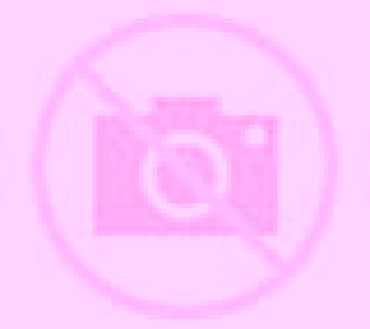 Diana 3 Bellreguard escort