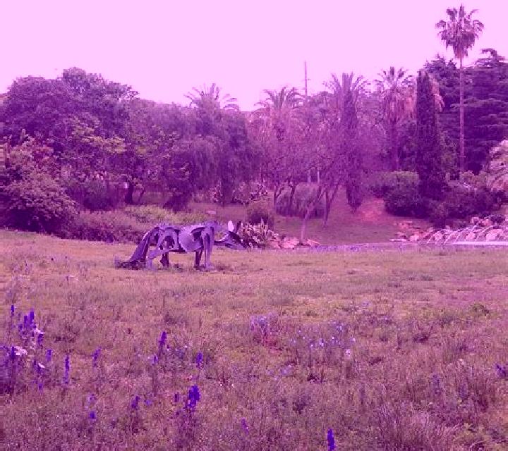 Diana 3 Madronal escort