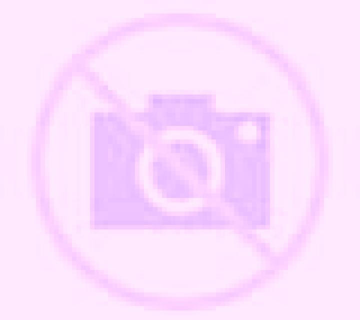 Diana Flix escort