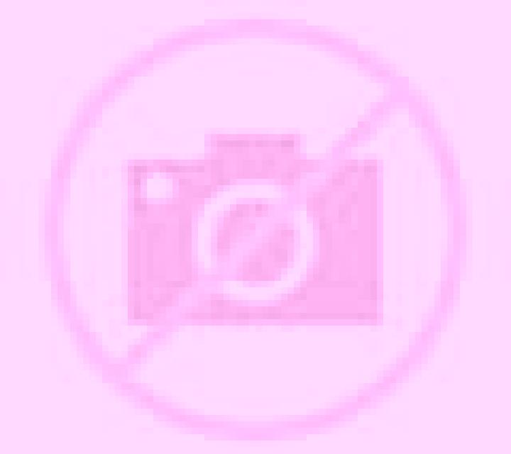 Emilia Gallegos del Pan escort