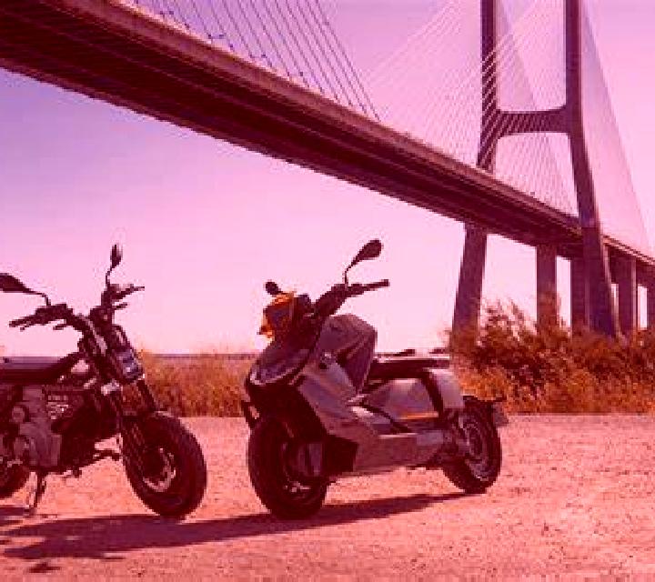 Estrella 2 Cuadros escort