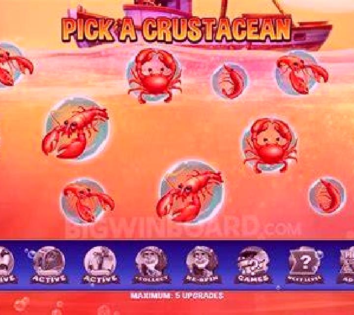 Estrella 3 Velilla escort