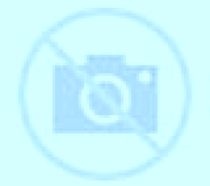 Florencia Botija escort
