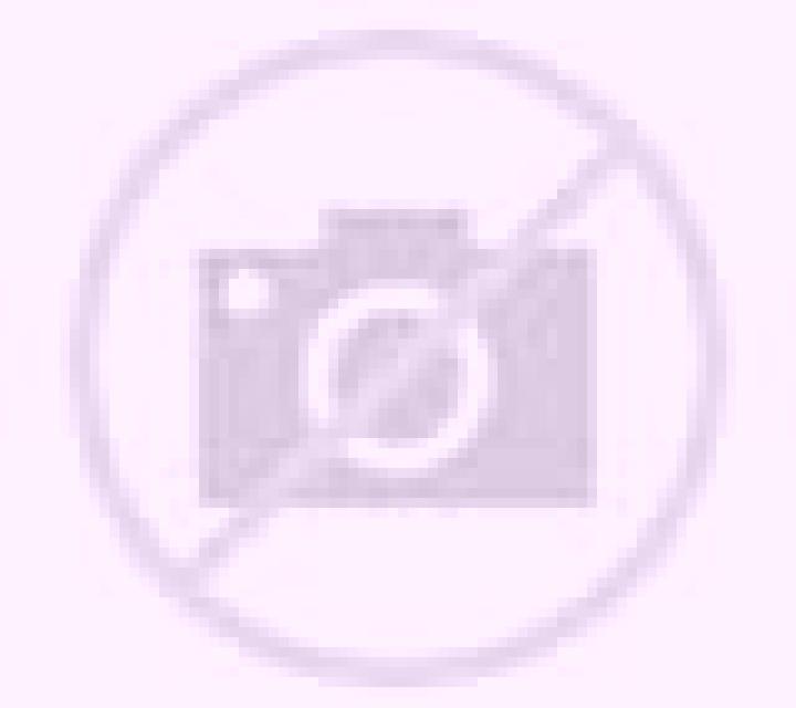 Gabriela Solsona escort