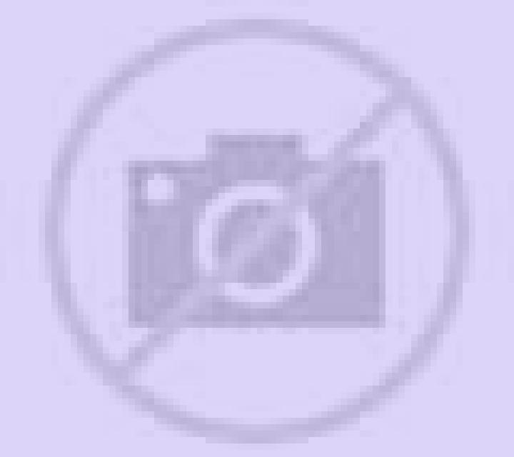 Irene Alaro escort