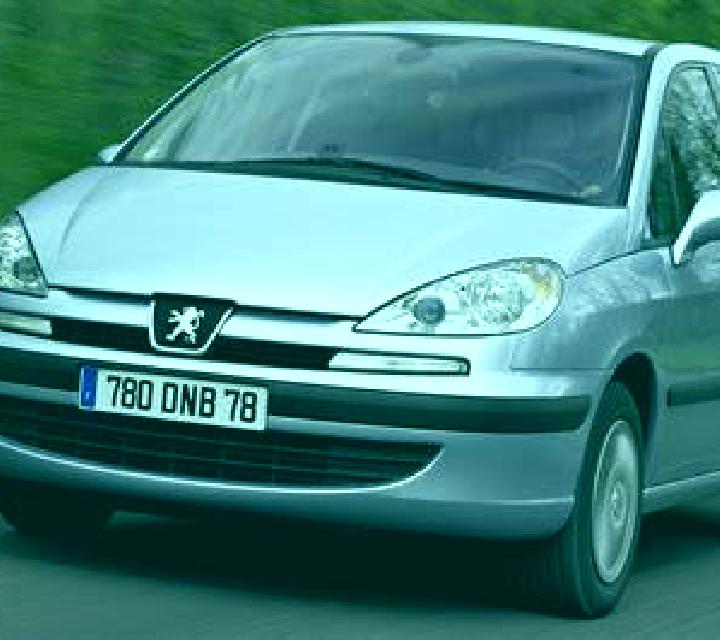 Irene Cobdar escort