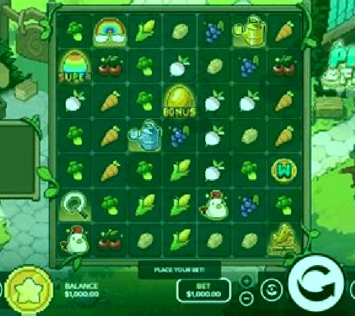 Jade 3 Colunga escort