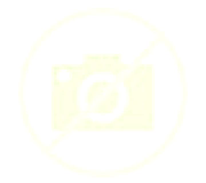 Jade 3 Torrebesses escort